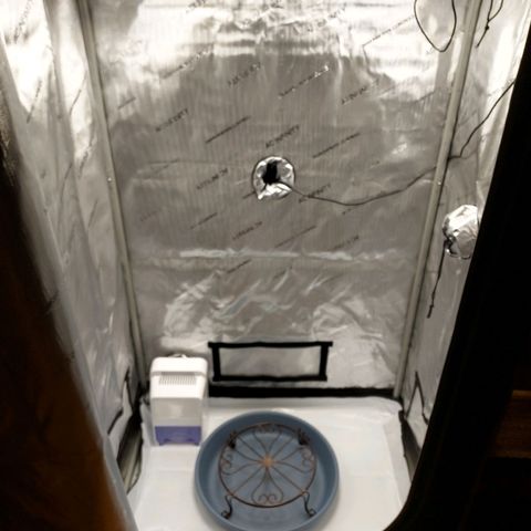 Bruce growlog photo: Hard to make that first cut, But it's drying. Ready to go again. 