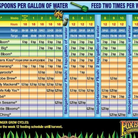 White Widow growlog photo: Fox Farm feeding schedule 