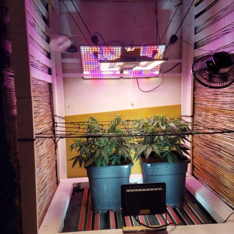 Auto Gelato growlog photo: Die rechte 