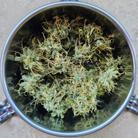 Triple G Automatic growlog timeline photo