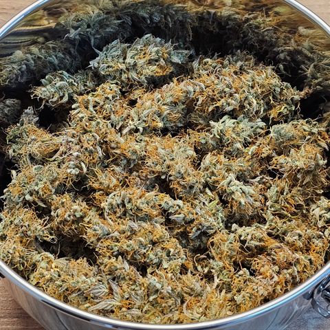 Royal Cookies Automatic growlog timeline photo