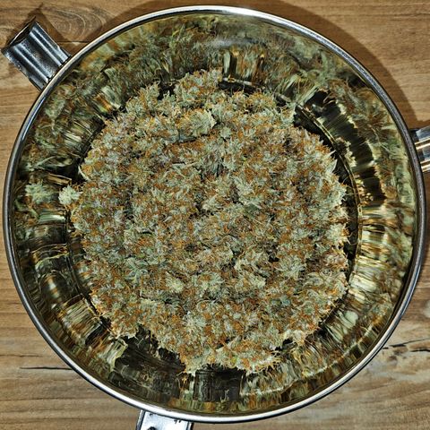 Tropicana Cookies Purple Automatic growlog timeline photo