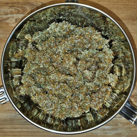 Royal Cookies Automatic growlog timeline photo