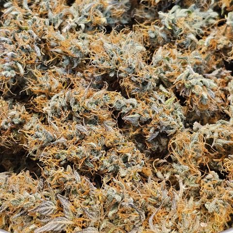 Royal Cookies Automatic growlog timeline photo