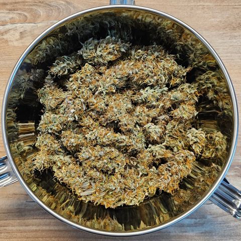 Royal Cookies Automatic growlog timeline photo