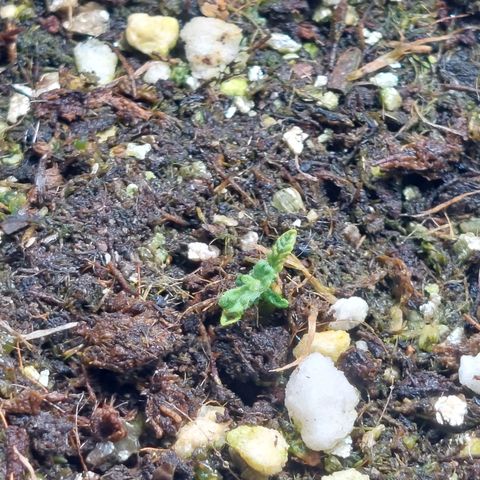 Branquinho 47 growlog photo: Ela não desistiu, então não desisti dela também 