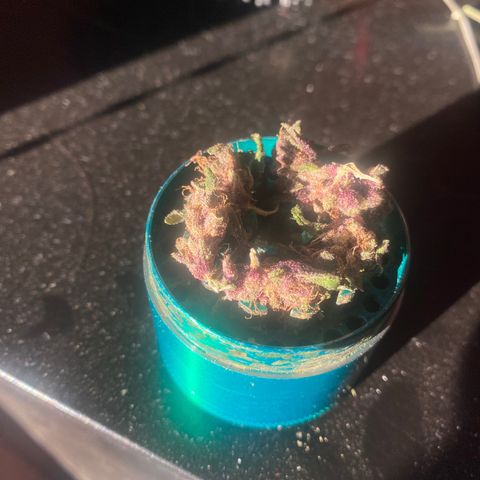 DiegoKushPurple  growlog timeline photo