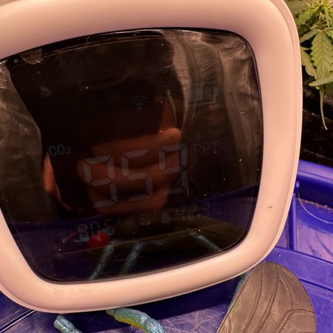 Growlog-Zeitleistenfoto von Blue