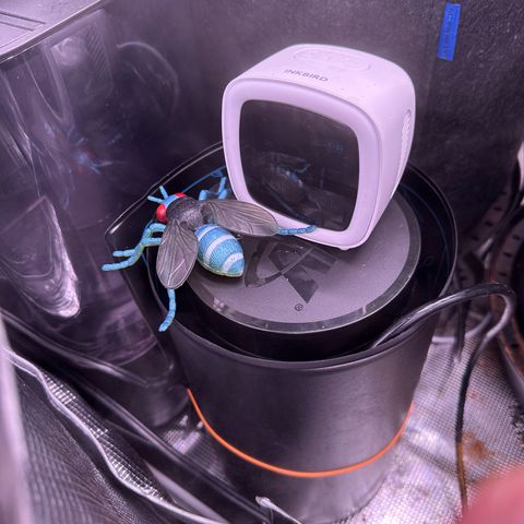 Growlog-Foto von Blue:  Wrapping CO2 generator with seedling heat mat almost doubled CO2 production overnight