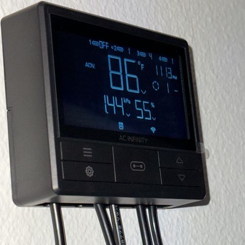 Growlog-Foto von Blue: Perfect