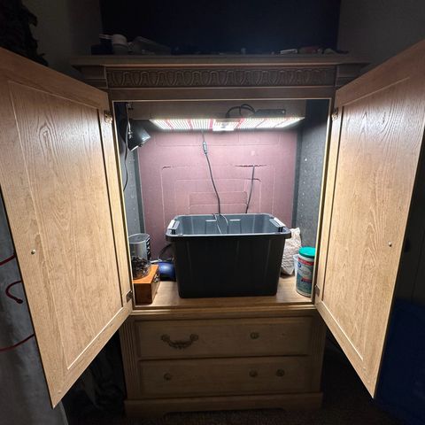 Blue hydro #1 growlog photo: Made some room