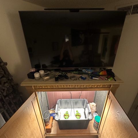 Blue hydro #1 growlog photo: Made some room