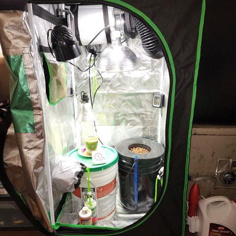 No haircut growlog photo: 757am