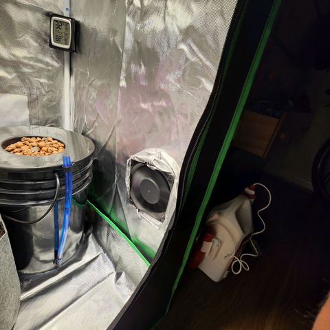 No haircut growlog photo: Transplant to 5 gallon potting bag. Fingers 🤞 I think it went into shock... new ra2000 Parfactworks lcd grow light.  Added vent fan. The photo doesn't show neat install.