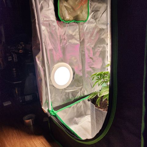 No haircut growlog photo: Added light, installed it using existing vent hole.