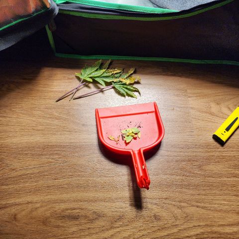 No haircut growlog timeline photo