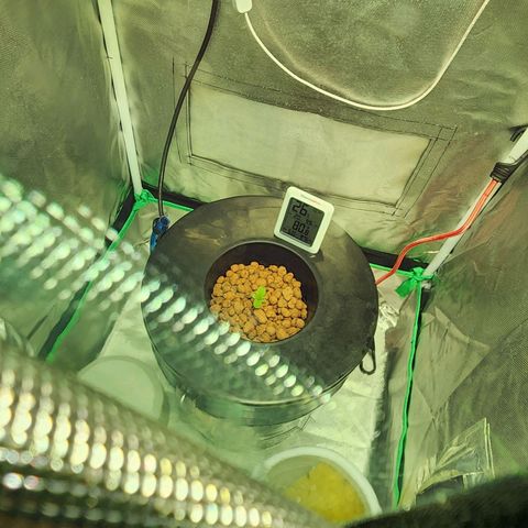 Cinex growlog timeline photo
