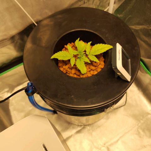 Cinex growlog photo: Humidity under control now. 😑 