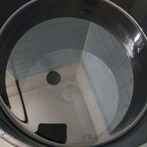 Cinex growlog photo: New flush