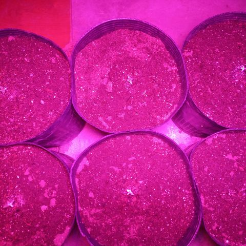 Agostina growlog photo: jardin y led