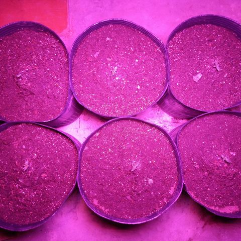 Agostina growlog photo: jardin do led