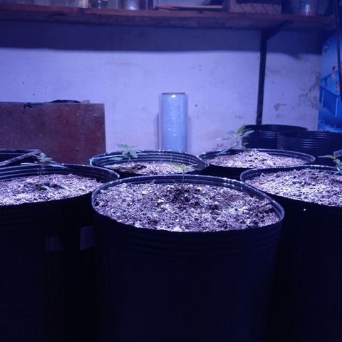 Agostina growlog timeline photo