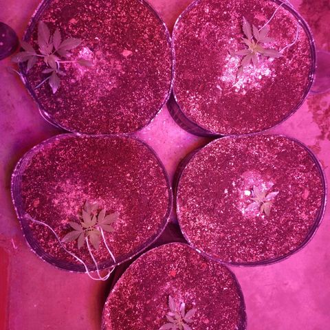 Agostina growlog timeline photo