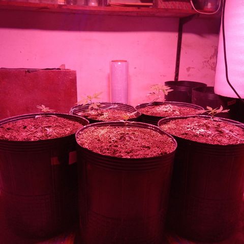 Agostina growlog timeline photo