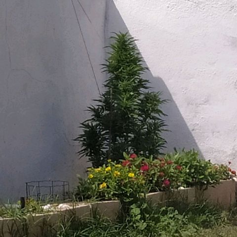 Margaret  growlog timeline photo