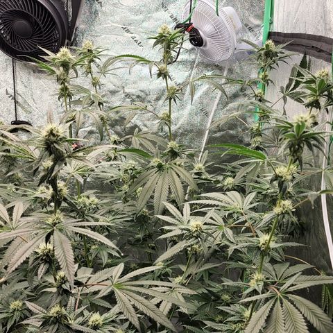 Ex-Wife growlog timeline photo