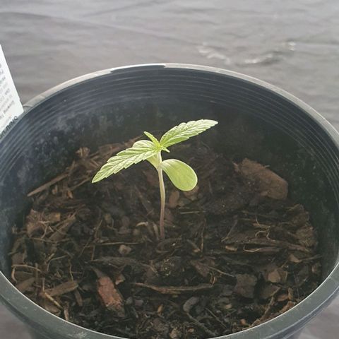Flo growlog photo: 10:12am