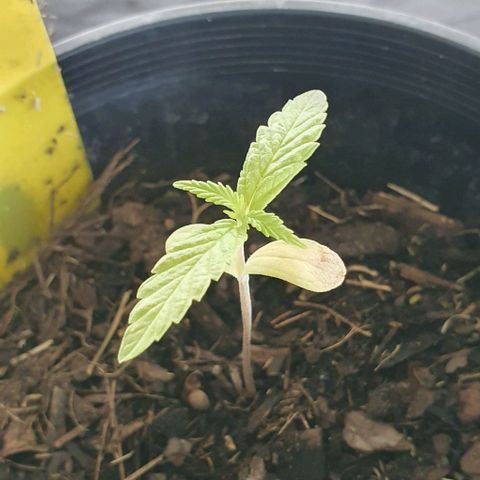 Flo growlog photo: 10:26am