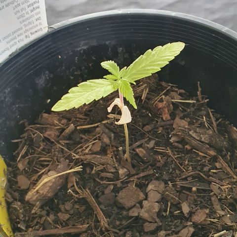 Flo growlog photo: 10:02am