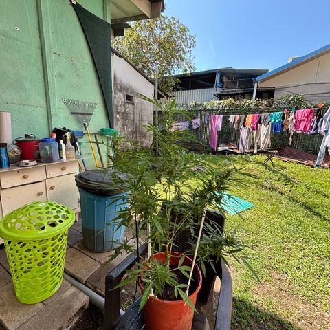 Genética desconocida growlog timeline photo