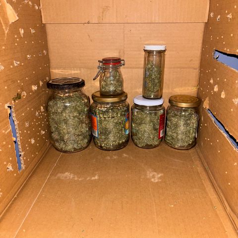 Genética desconocida growlog timeline photo
