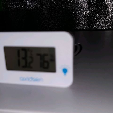 Cherry Punch growlog timeline photo