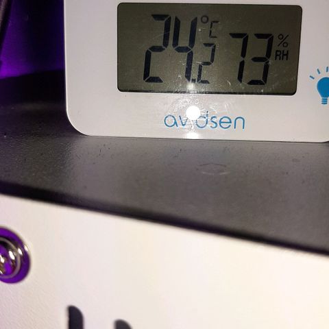 Cherry Punch growlog timeline photo