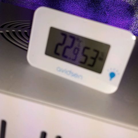 Cherry Punch growlog timeline photo