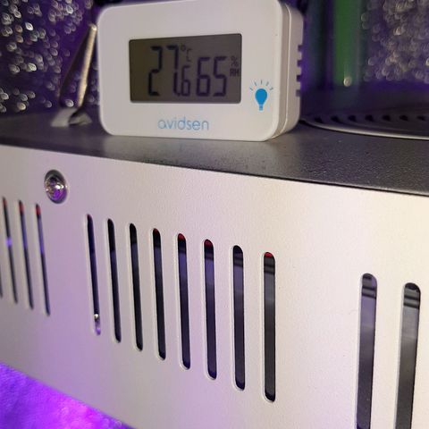 Cherry Punch growlog timeline photo