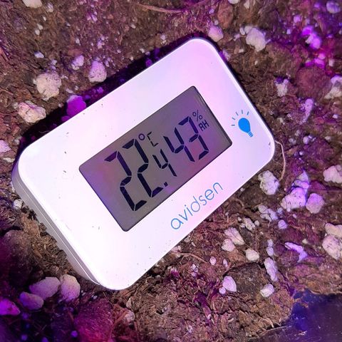 Cherry Punch growlog photo: Le radici stanno sputando sotto al vaso, quindi a giorni gli faro un travaso in un 25lt + terreno pre fertilizzato PLAGRON Royal Mix.