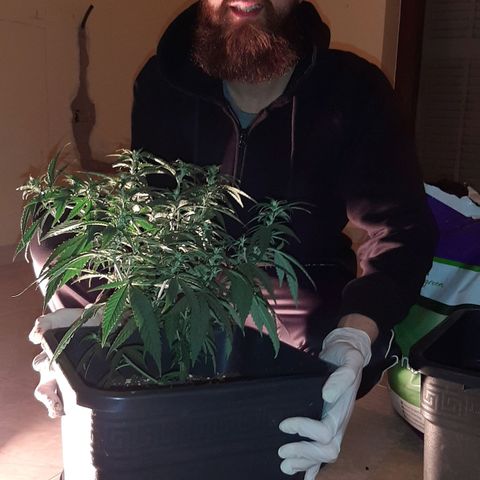 Cherry Punch growlog photo: TRAVASO DA 18LT A 25LT