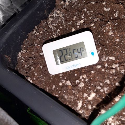 Cherry Punch growlog photo: Ore 7.40
