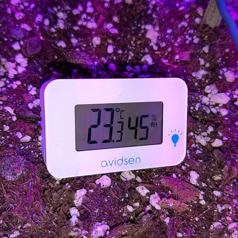 Cherry Punch growlog timeline photo