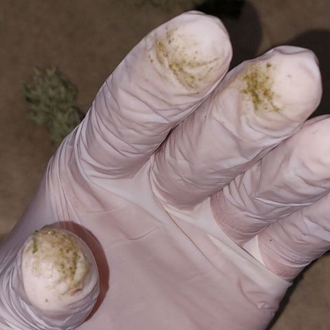 Cherry Punch growlog timeline photo