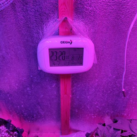Gorilla Auto growlog timeline photo