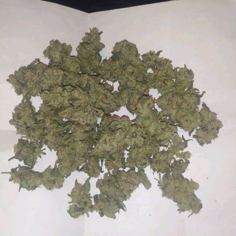 Gorilla Auto growlog photo: Лечим дистилированной водой и с тандартным способом! 