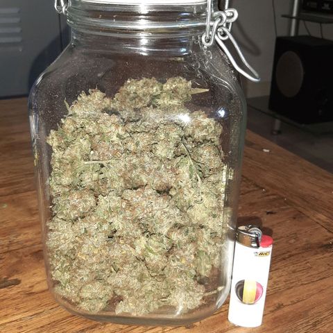 Gelato 44 growlog timeline photo