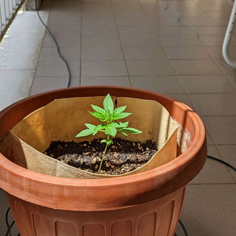 Mary Jane I growlog photo: ORE 12:35
Bella mentre prende il suo ☀️💚