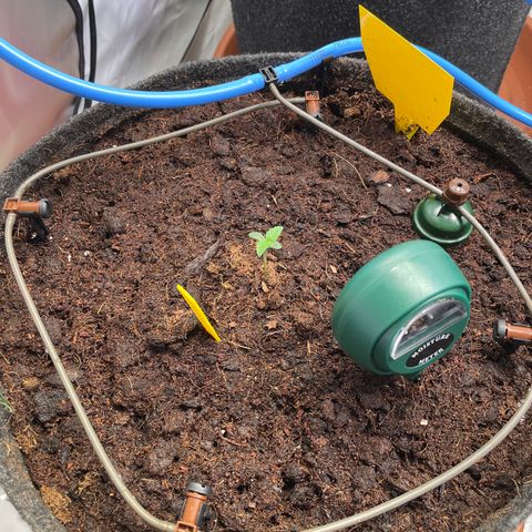 RQS F1 Epsilon #1 growlog timeline photo
