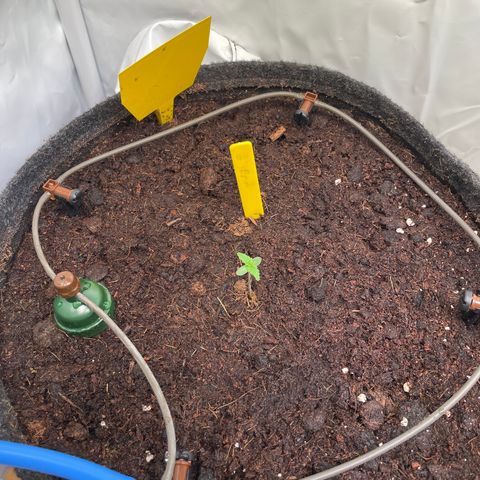 RQS F1 Epsilon #2 growlog timeline photo